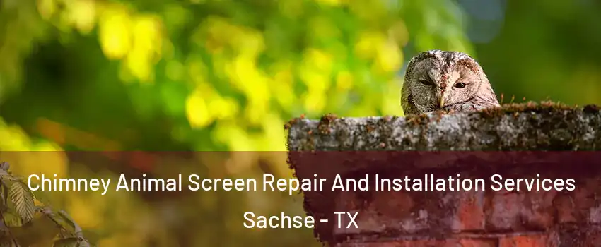  Chimney Animal Screen Repair And Installation Services Sachse - TX