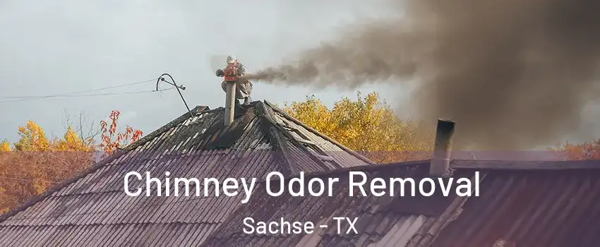  Chimney Odor Removal Sachse - TX