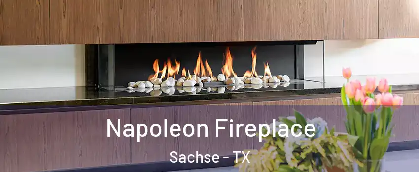  Napoleon Fireplace Sachse - TX